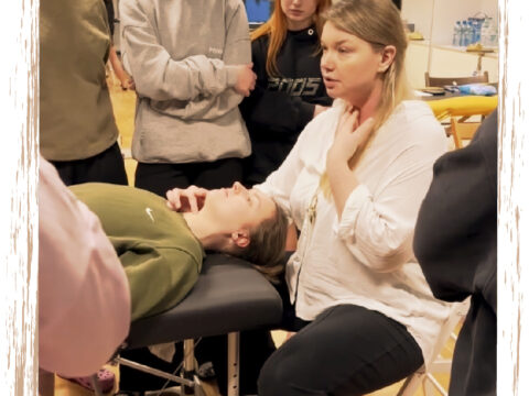 Anatomia palpacyjna - Physio Meeting